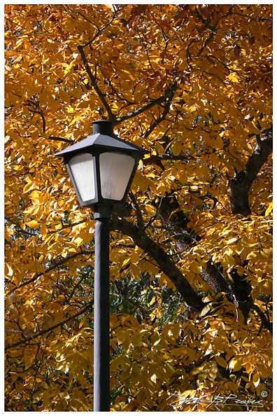 Paris, TX : Light Post photo, picture, image (Texas) at city-data.com