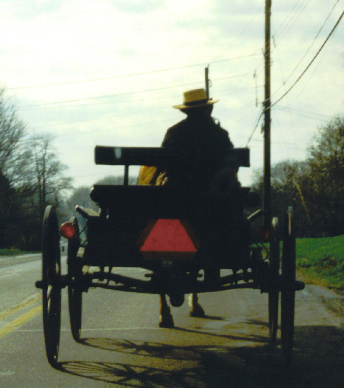 Oxford, PA: amish buggy