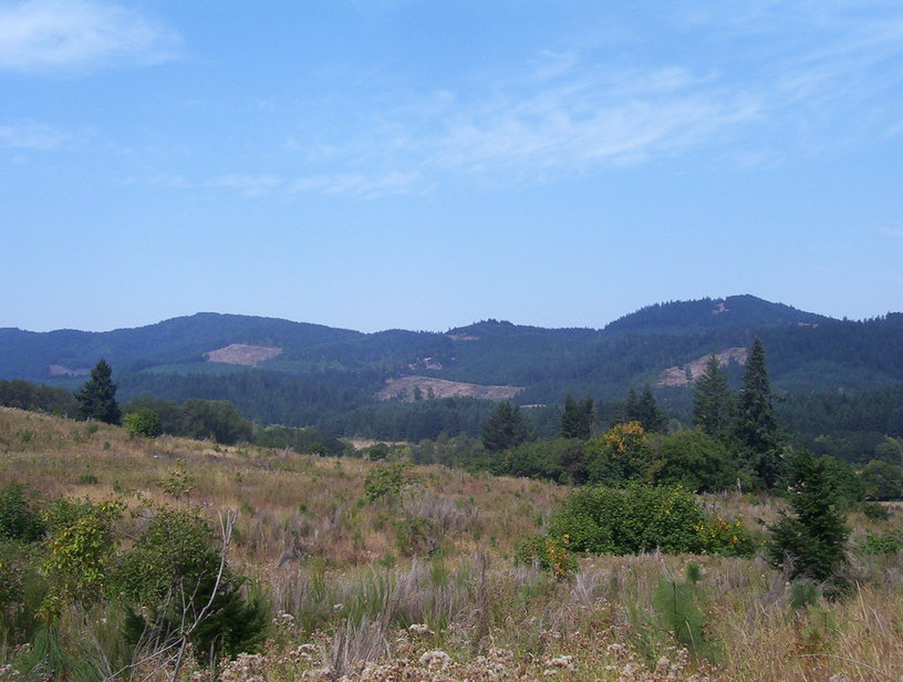Corvallis, OR: Taken NW of Corvallis. On the other side lies that edge of town.