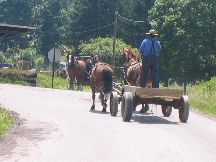 Salisbury, PA: a common sight due to the large Amish community in the area