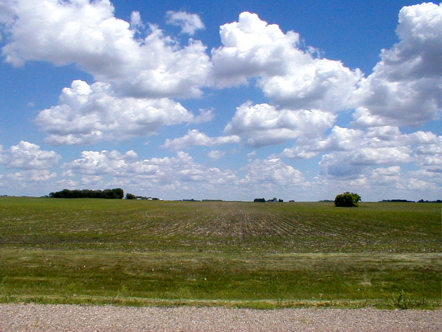 Dawson, MN: landscape