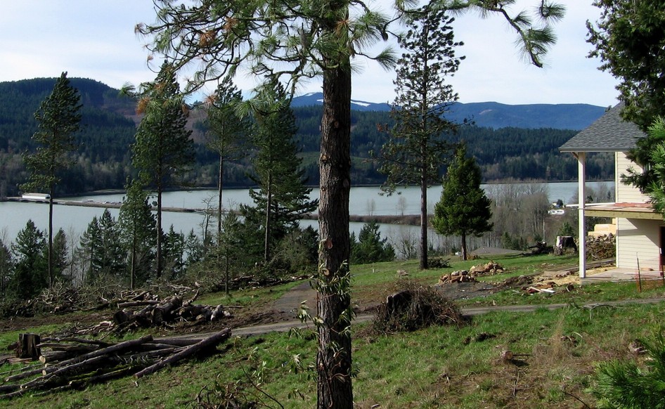Lowell, OR: Looking down on Dexter Lake