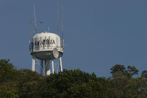 Savanna, IL: The Water Tower