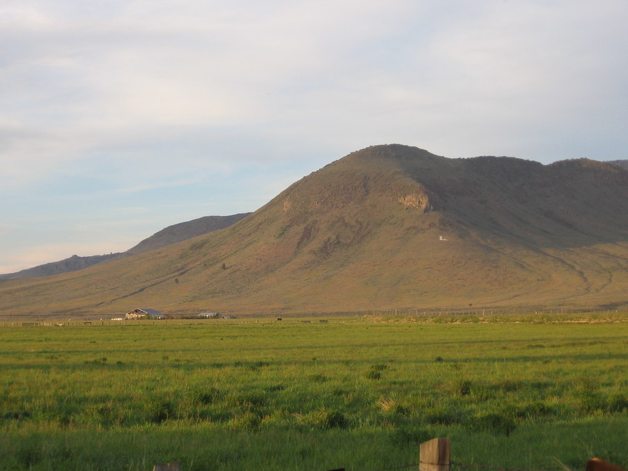 Loyalton, CA "L", elephant head photo, picture, image (California) at