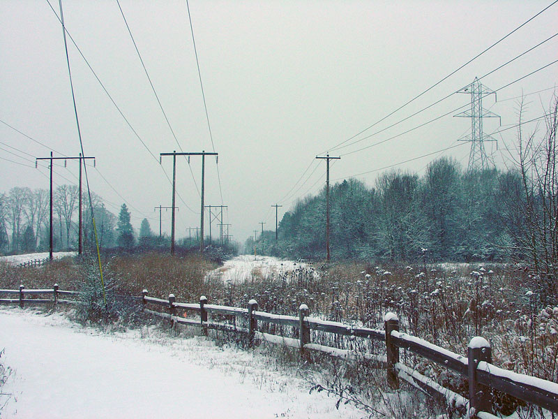 Beaverton, OR: Power Line Trail off of Tualatin Hills Nature Park
