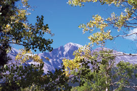 Estes Park, CO: View of Longs Peak at Aspen Lodge