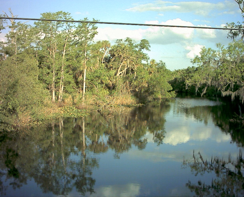 Punta Gorda, FL: Shell Creek - a source of Punta Gorda's water supply