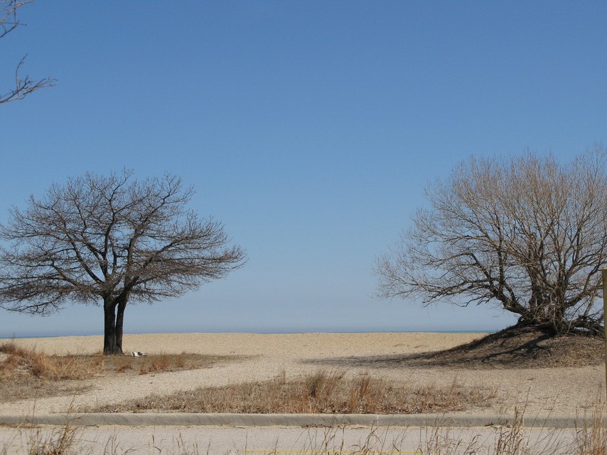 Zion, IL: Two Tree at Zion St. Beach