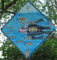 Amarillo, TX: Scuba Pig