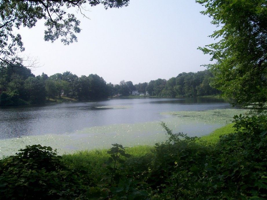 Framingham, MA Gleason Pond photo, picture, image (Massachusetts) at