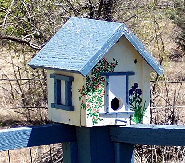 Young, AZ : Young Birdhouse 85554 photo, picture, image (Arizona) at ...