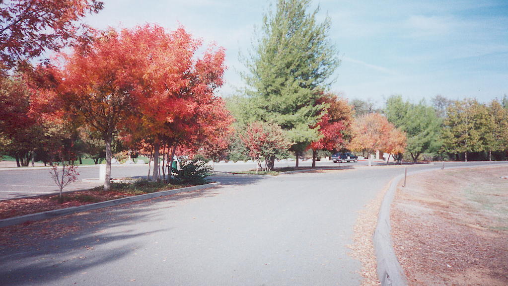 Loomis, CA: Loomis, CA town park in autumn