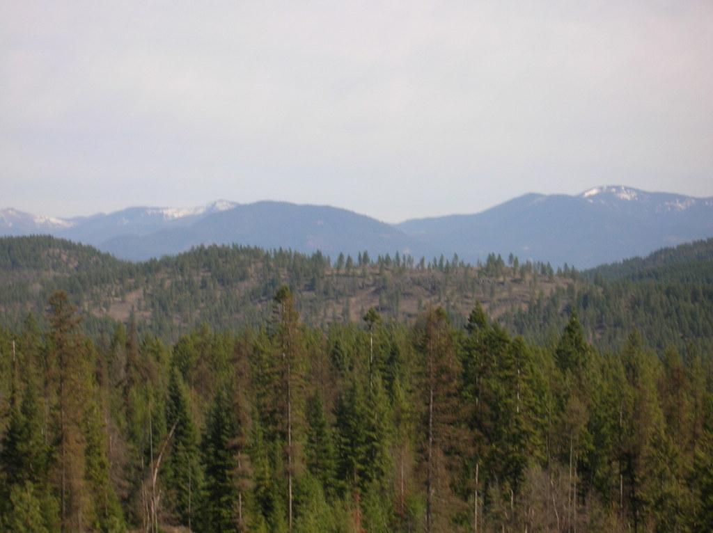 Chewelah, WA The Hlls outside Chewelah photo, picture, image