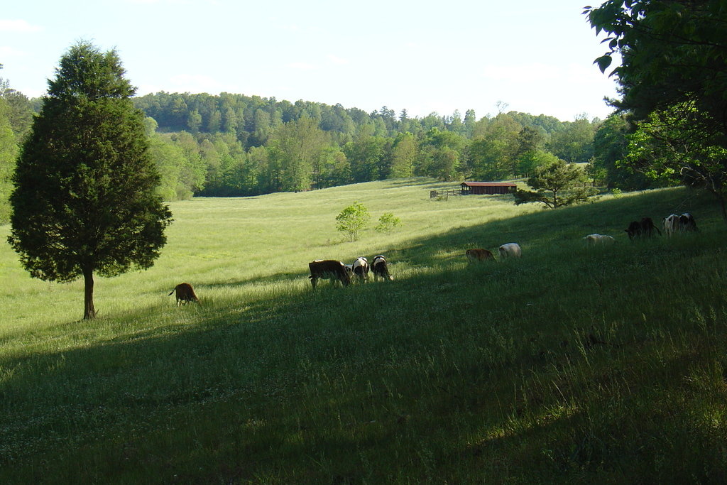 Ranburne, AL : Rural farm just west of Ranburne photo, picture, image ...