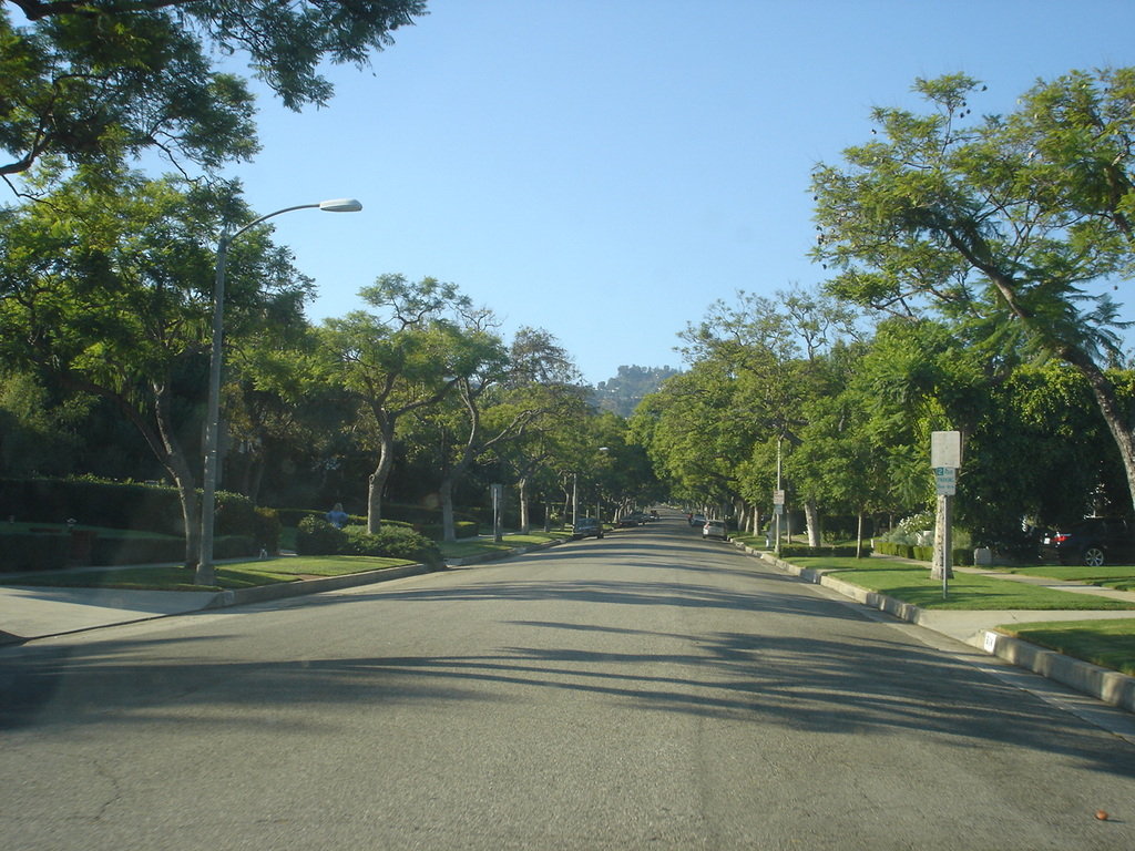 Beverly Hills, CA: Palm Drive, Beverly Hills.