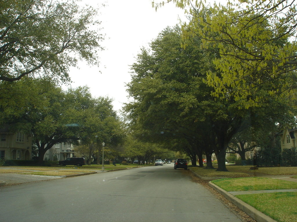 Highland Park, TX: Residential street in Highland Park, Tx.