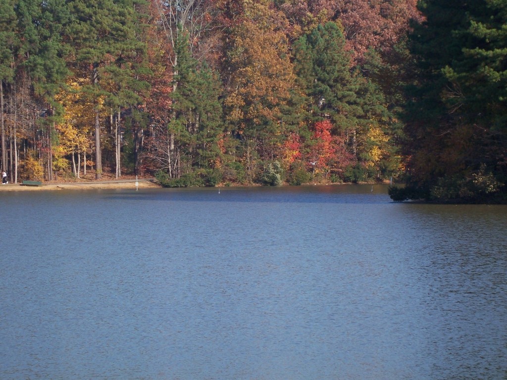 Apex, NC : Apex Lake photo, picture, image (North Carolina) at city-data.com