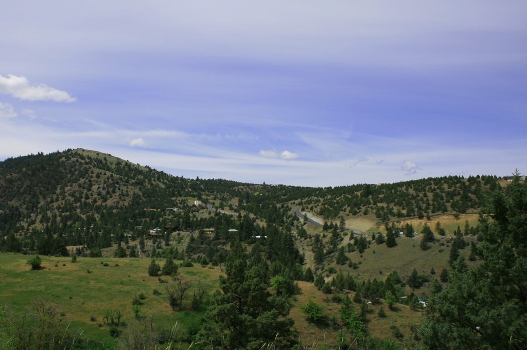 Canyon City, OR: hillside....