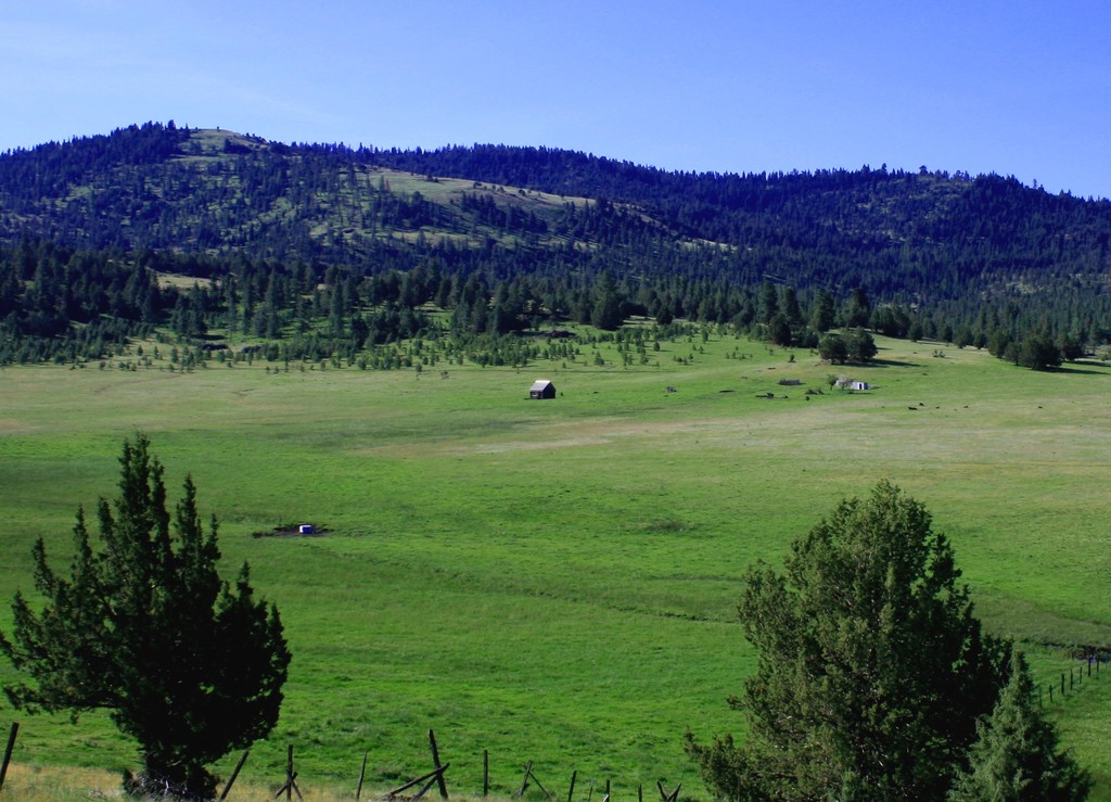 Long Creek, OR just west of town.... photo, picture, image (Oregon