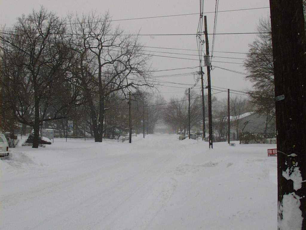 Rochelle Park, NJ: Rochelle Ave. during blizzard 2003