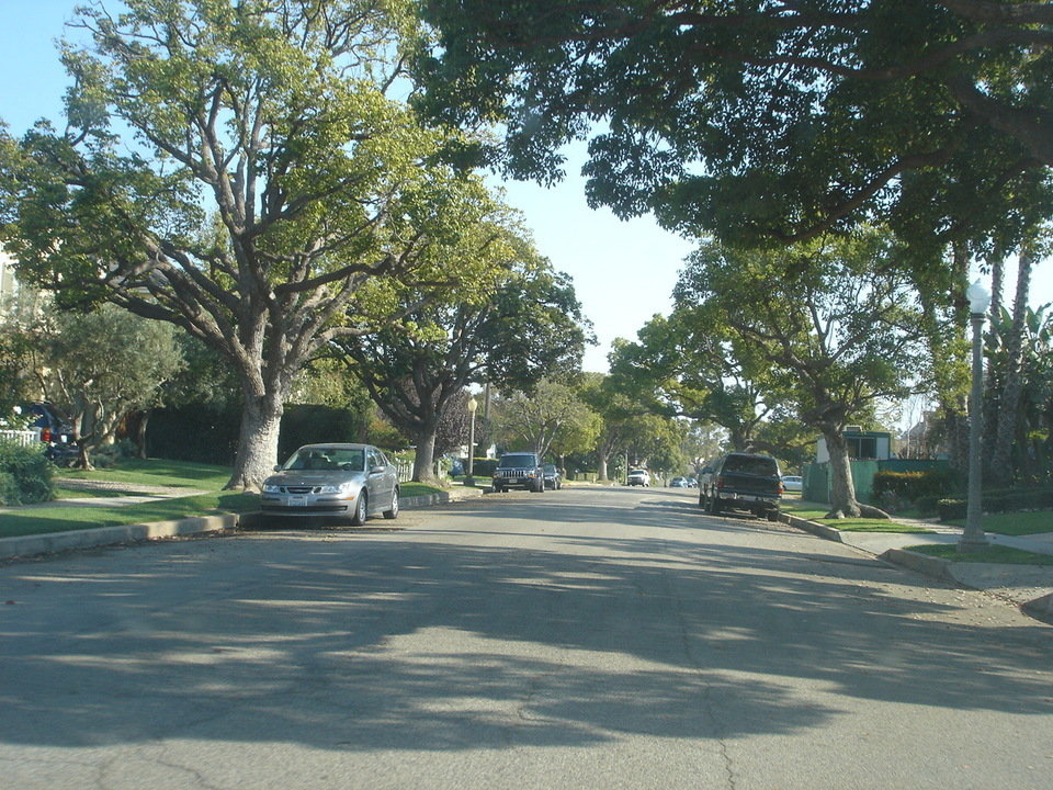 Los Angeles, CA : Residential street in the affluent 