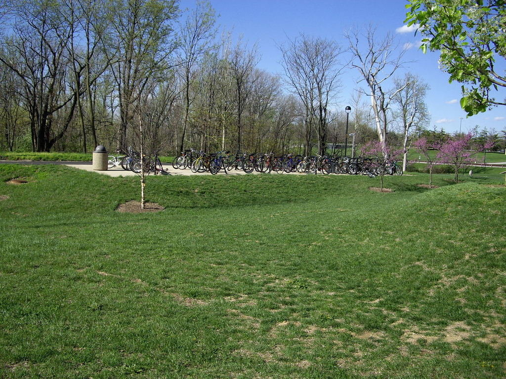 Edwardsville, IL: Bikes on the SIUE campus