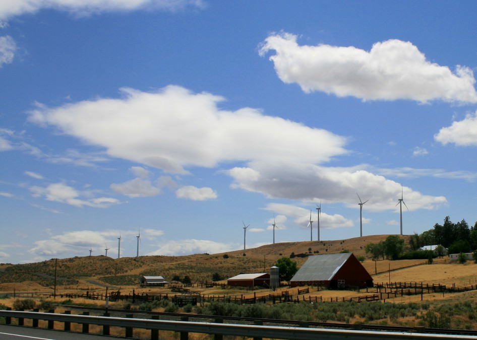 Arlington, OR: Windmill Ranch...