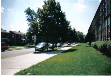 Cicero, IL: residential street in cicero