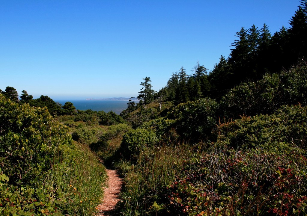 Port Orford, OR: Port Orford Head St Park.....