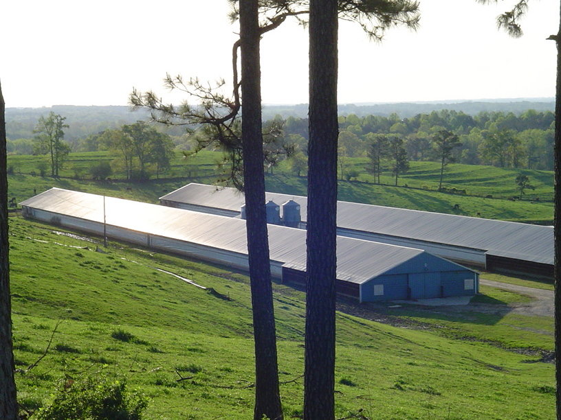 Ranburne, AL : Farm west of Ranburne on rural road photo, picture ...