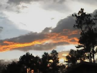 Ocala, FL: Sunset in Ocala