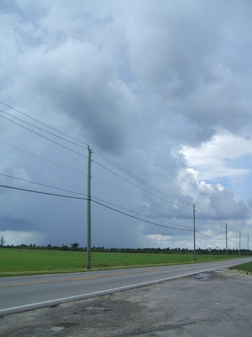 Florida City, FL: Florida thunderhead