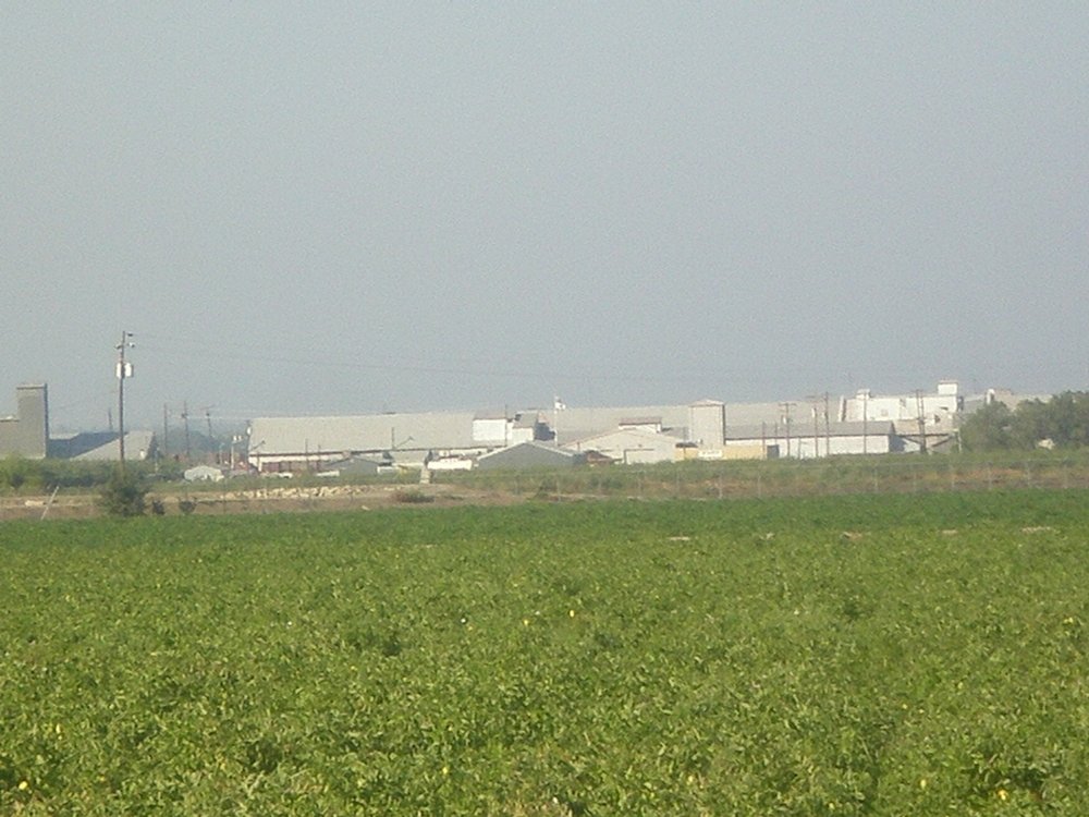 Westley, CA Westley Warehouse View From Westley Countryside photo