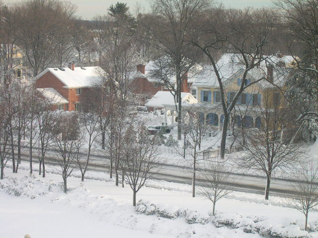 Garden City, NY: Winter 2005