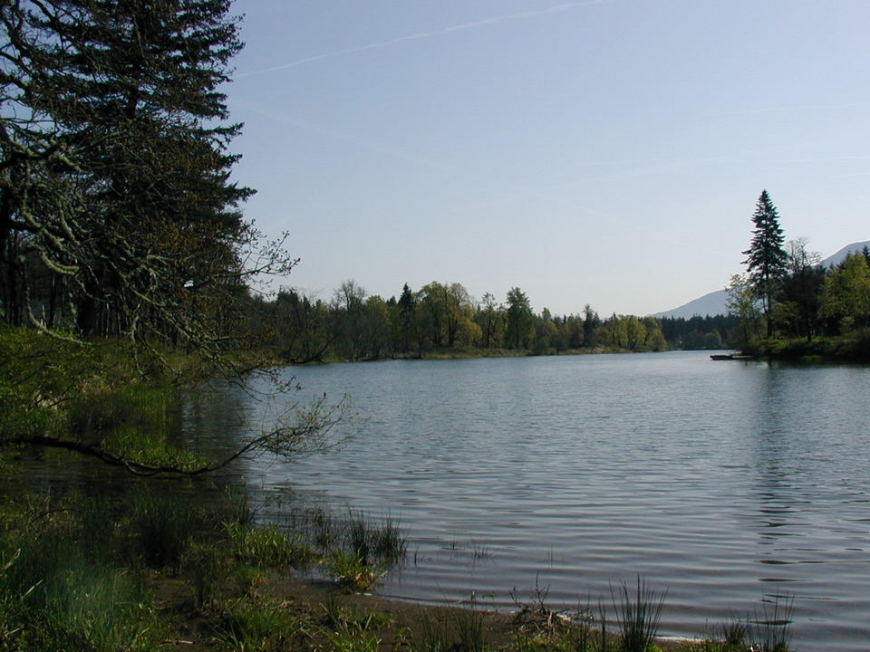 North Bonneville, WA: Greenleaf Lake - looking east