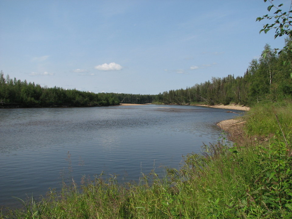 Salcha, AK Salcha River photo, picture, image (Alaska) at