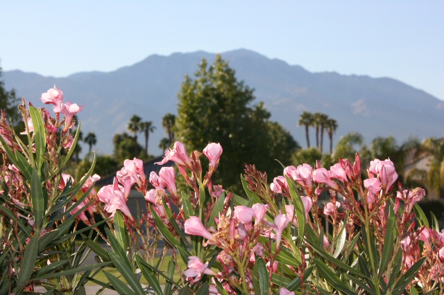 Rancho Mirage, CA: View of Mountains from Mission Hills Country Club, RM