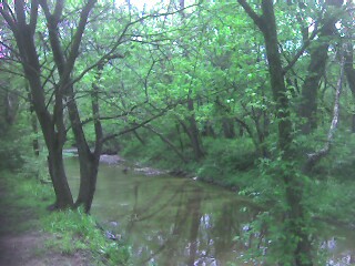 Fulton, MO: Stinson Creek (Walking Trail)