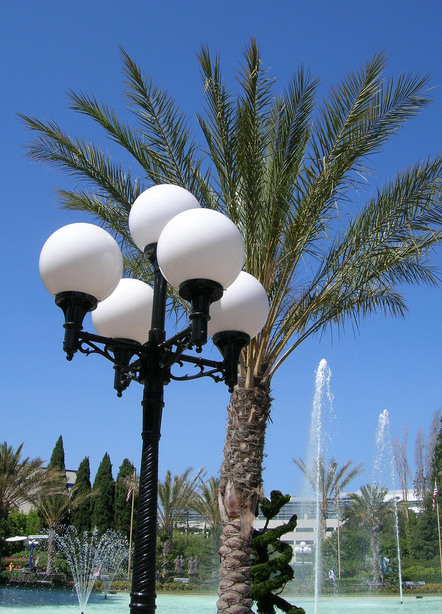 Santa Clara, CA: Paramount's Great America , Lamps and Trees