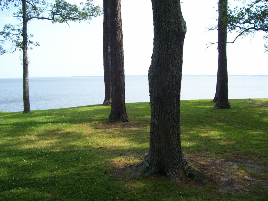 Havelock, NC: Neuse river Havelock NC