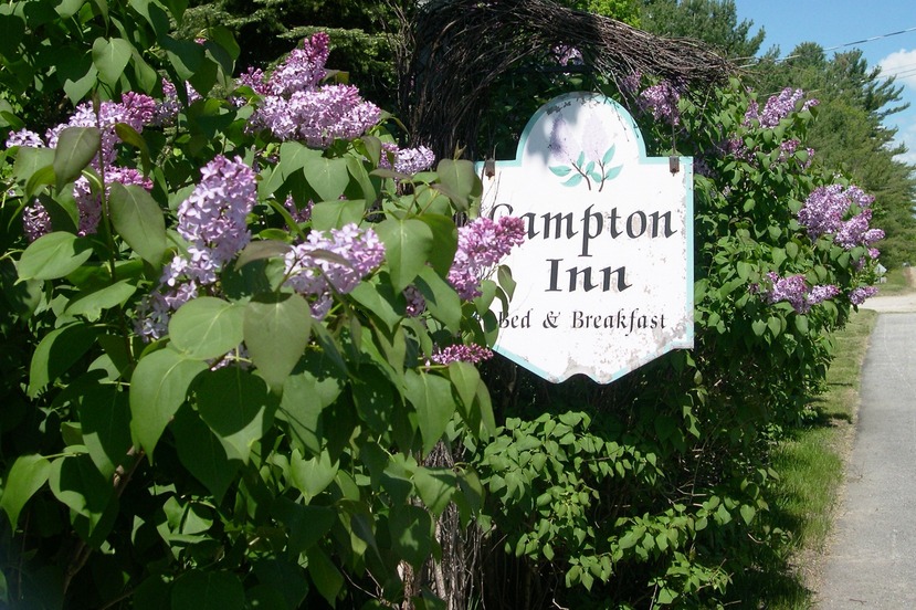 Campton, NH: Lilacs in June