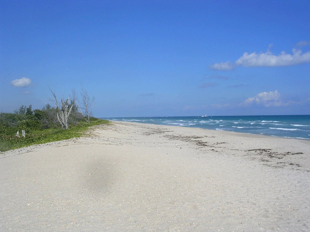 Port St. Lucie, FL: lonely beach 10 min drive from port st lucie take the dog