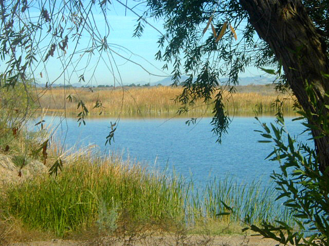 Palo Verde, CA : Palo Verde's Oxbow Lake photo, picture, image ...