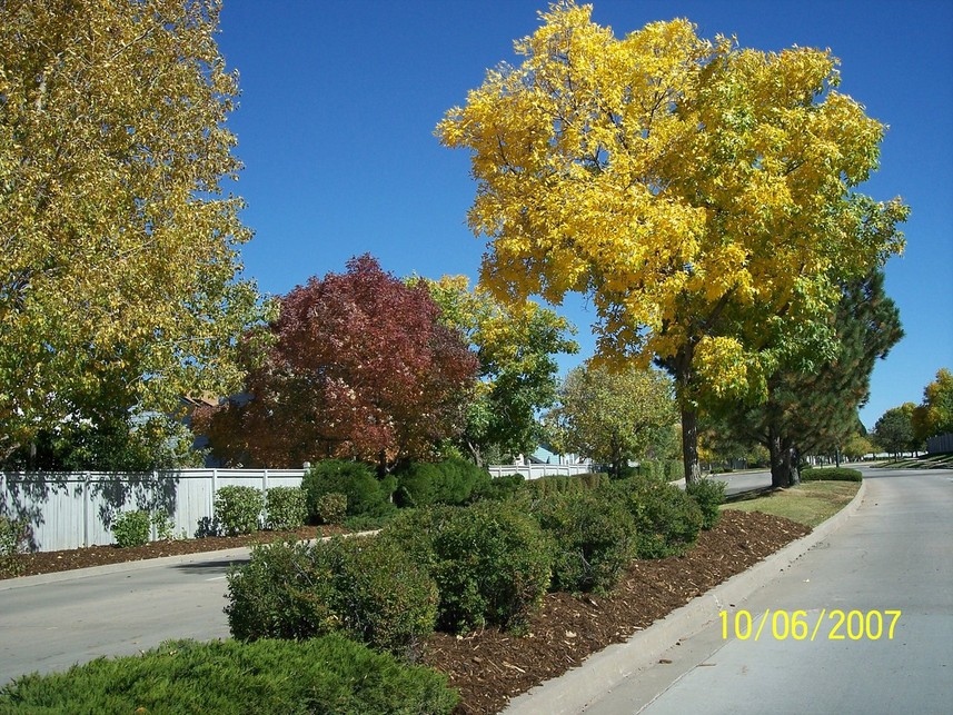 Castle Rock, CO: Fall takes stage in beautiful Castle Rock (Oct. 2007)