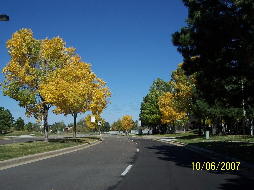 Castle Rock, CO: Fall takes stage in beautiful Castle Rock (Oct. 2007) 2