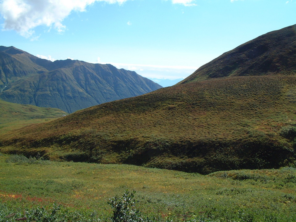 Palmer, AK Hatcher Pass and Willow CR. Rd. between Palmer& Willow