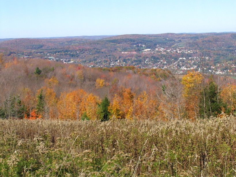Oneonta, NY: Looking over Oneonta and the Susquehanna valley from Franklin Mt.