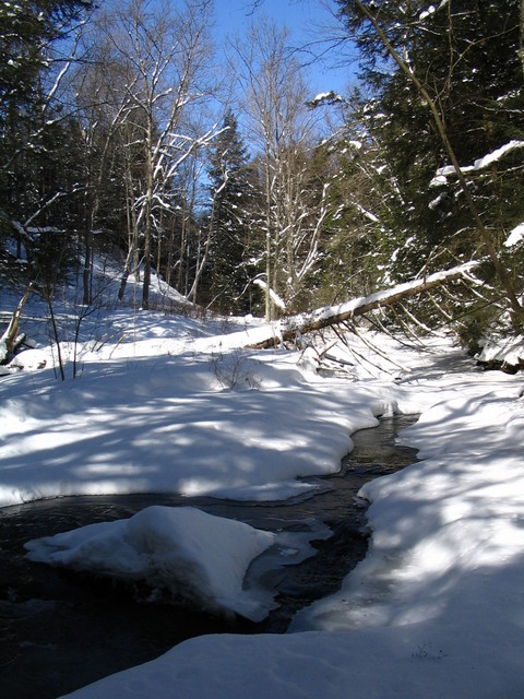 Gilbertsville, NY: Creek near Gilbertsville