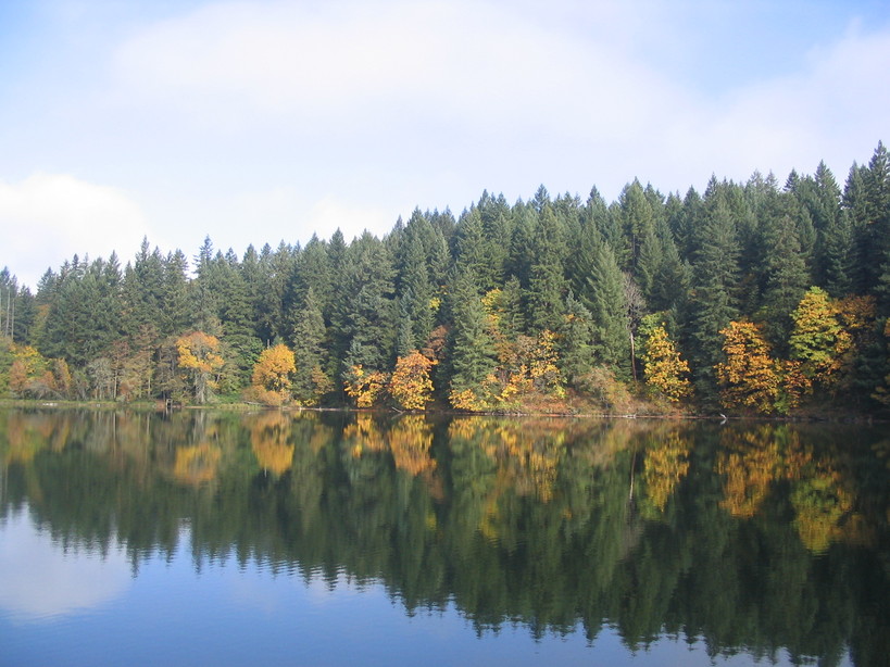 Camas, WA: Fall Colors - Round Lake Camas, WA