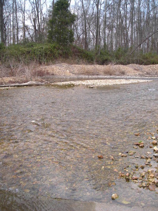 Linden, TN: Creek Near Linden